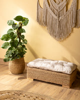 Handmade Halfa Bench with Cushion – Versatile Design