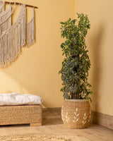 Handmade Halfa Embroidered Planter with Live Schefflera