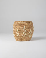Handmade Halfa Embroidered Planter with Live Schefflera
