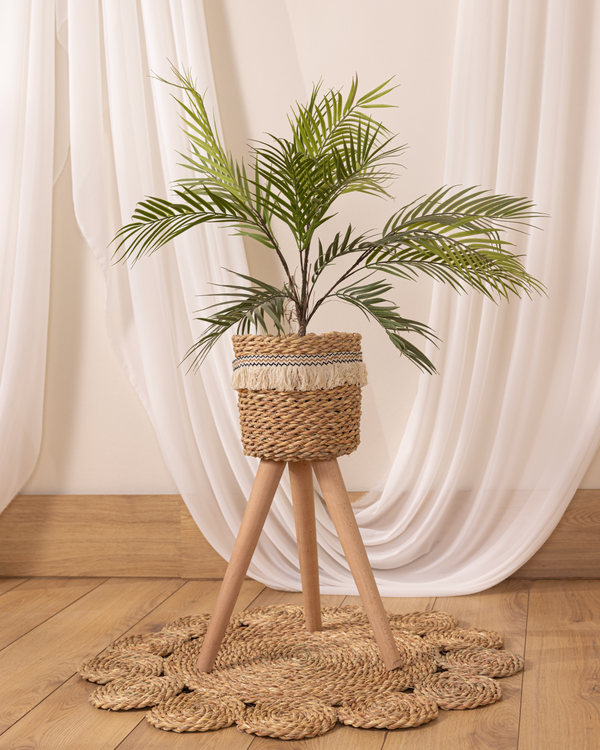 pot&plant Shape4