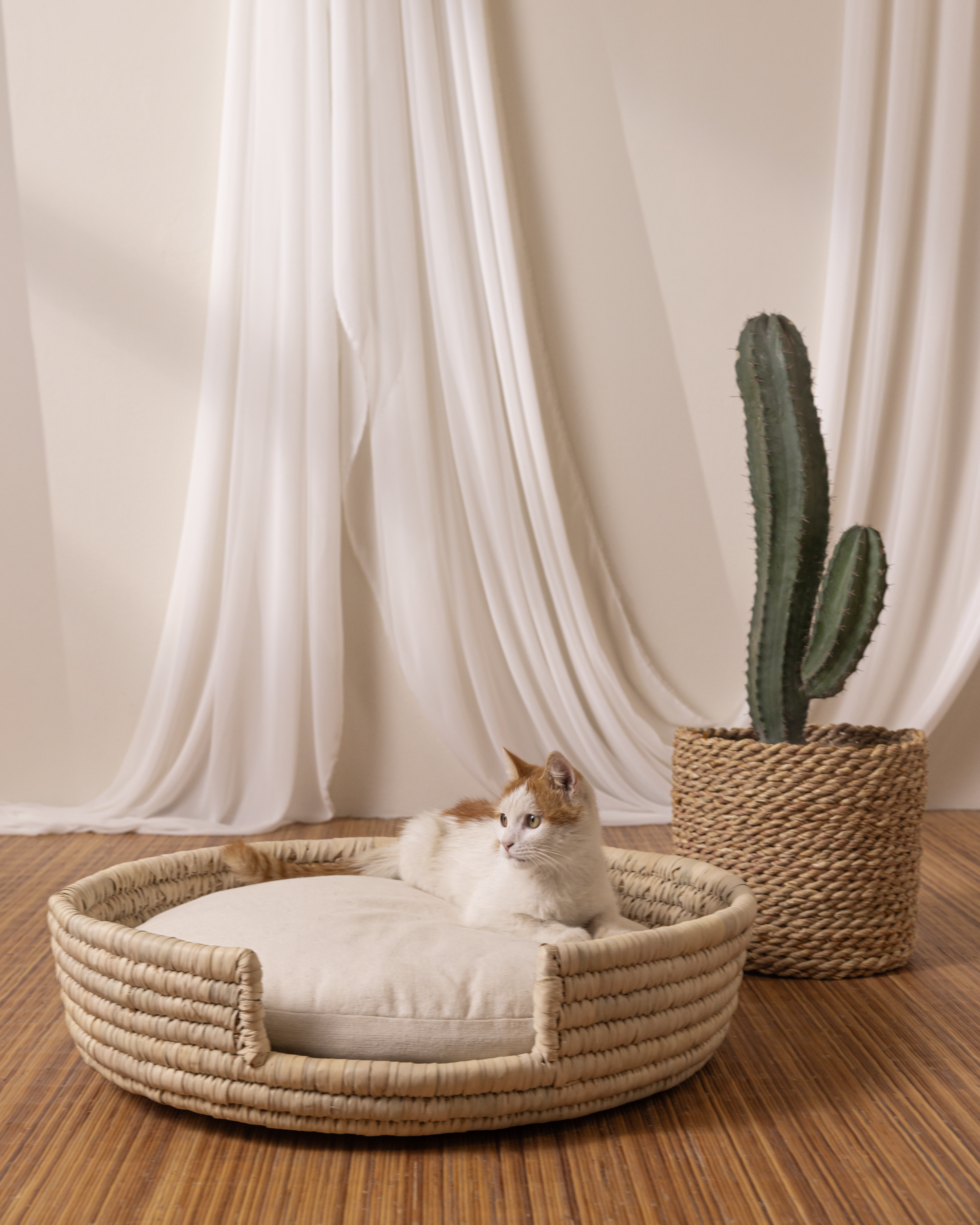 Comfortable Dog Basket Bed