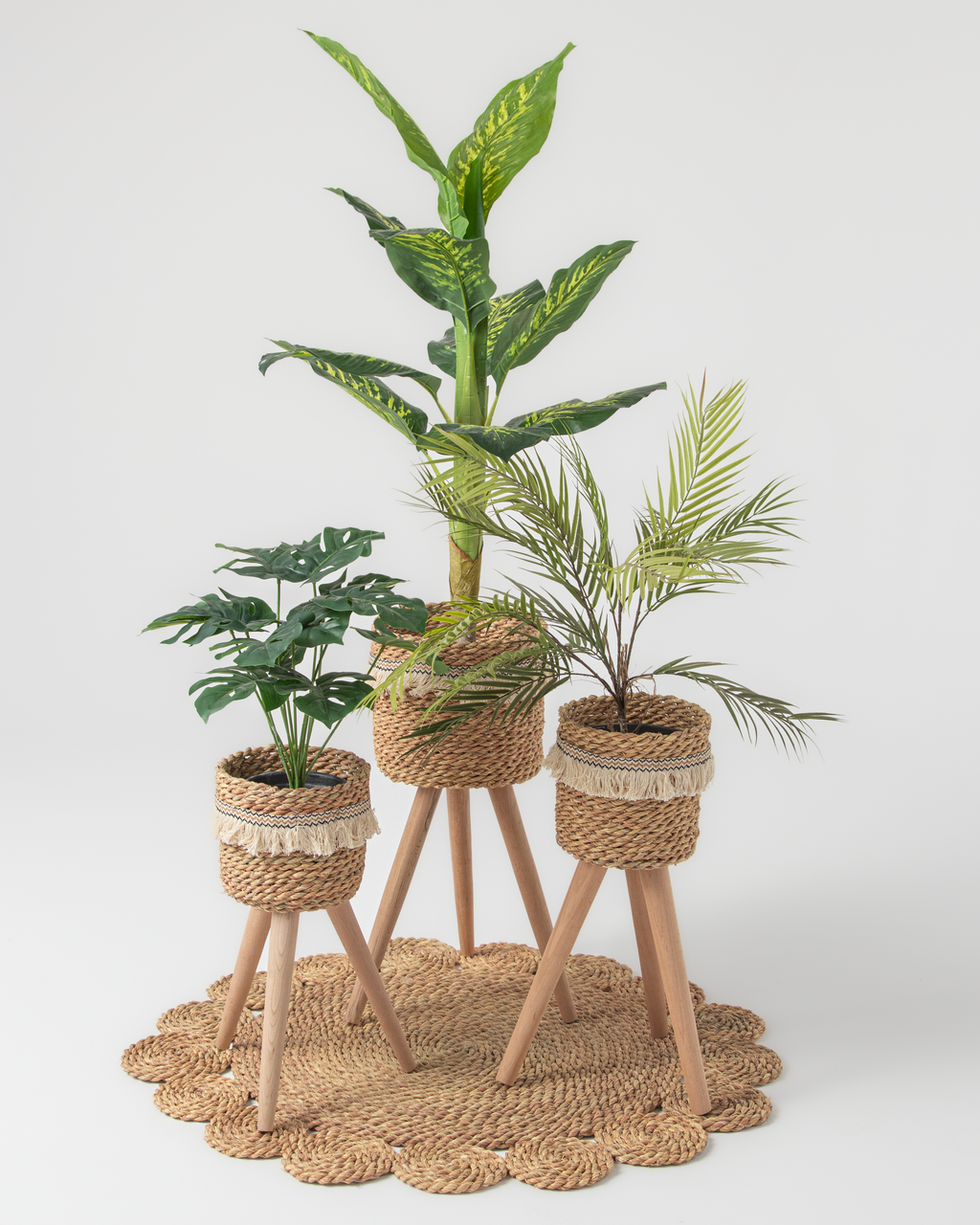 pot&plant Shape2