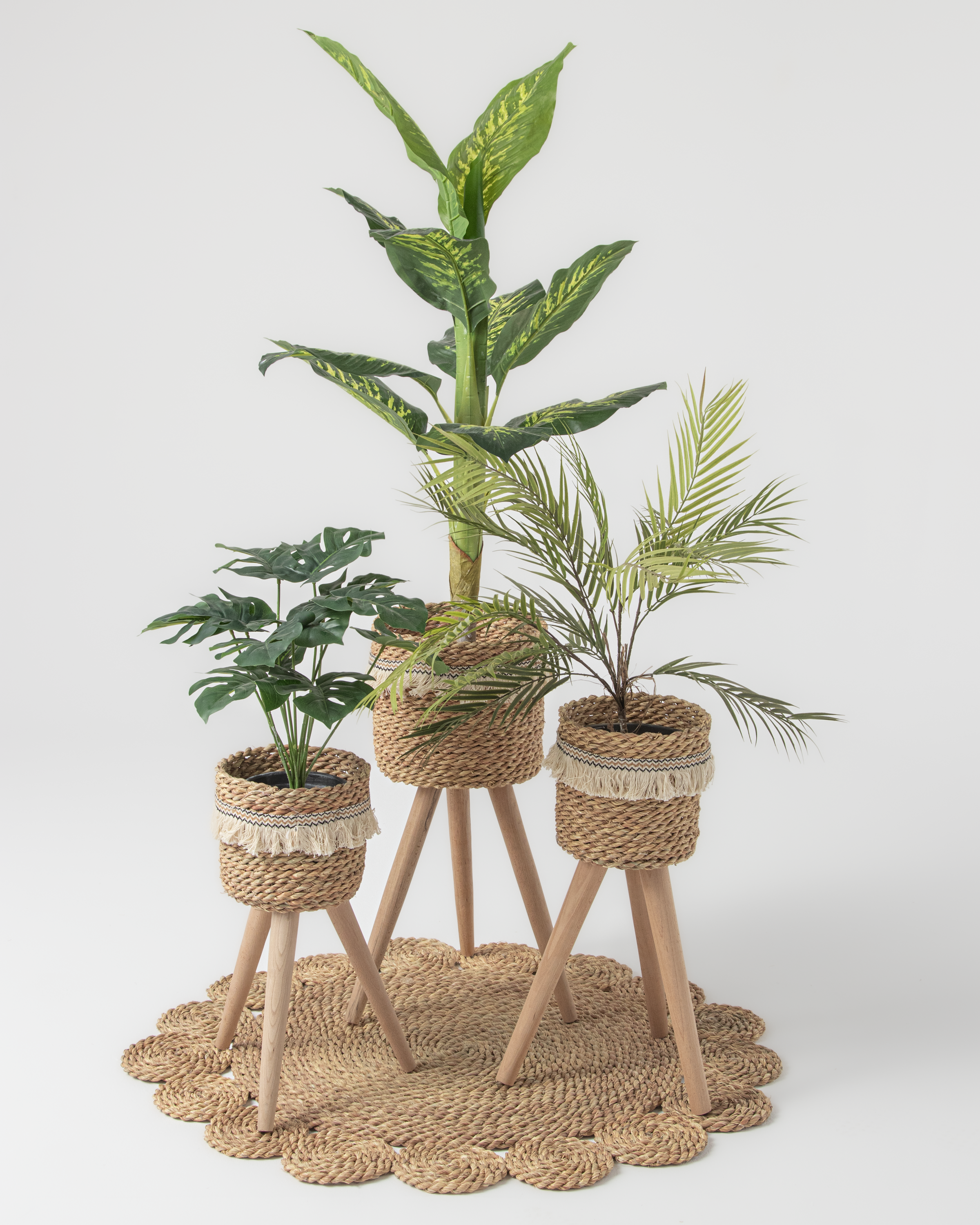 pot&plant Shape2