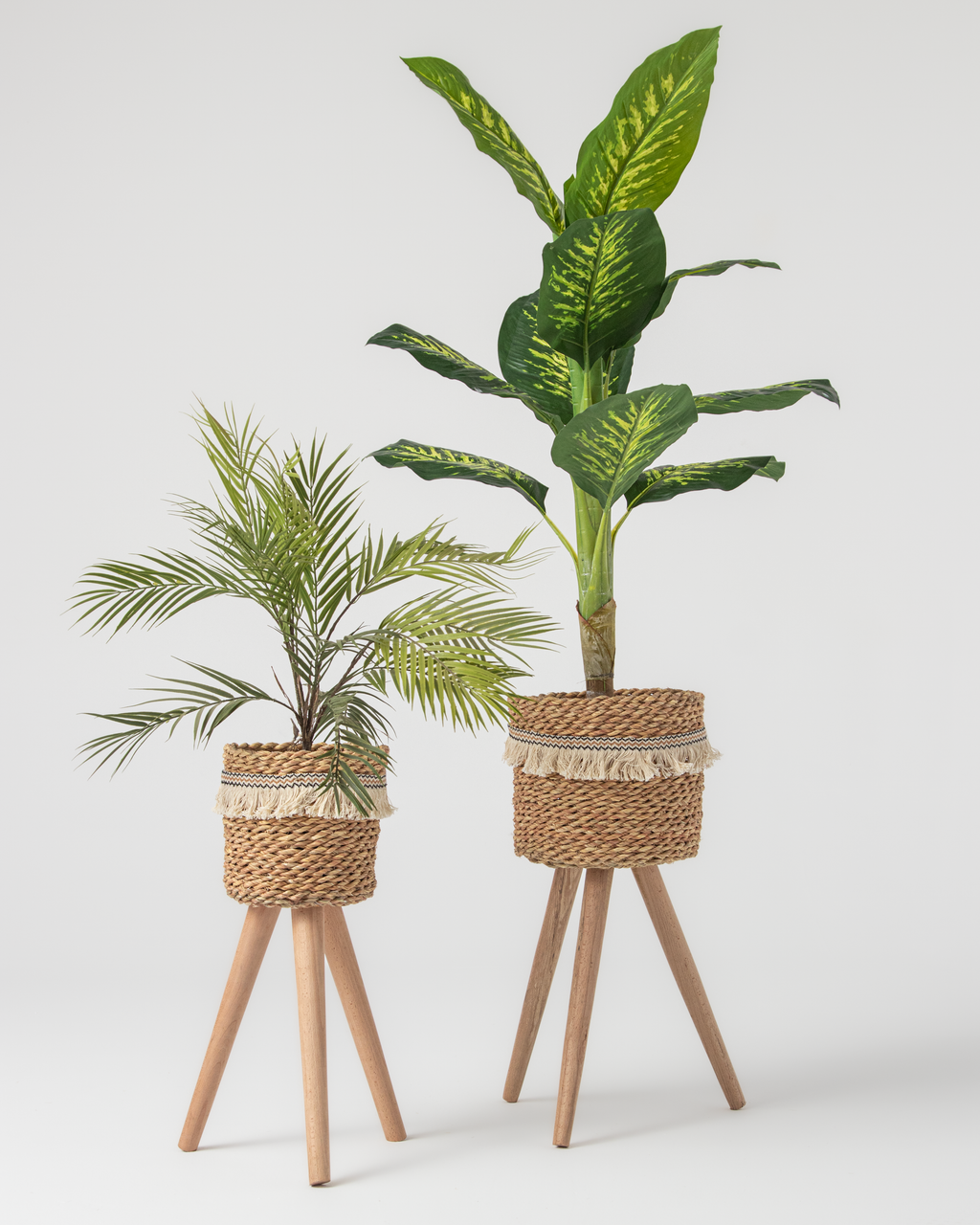 pot&plant Shape3
