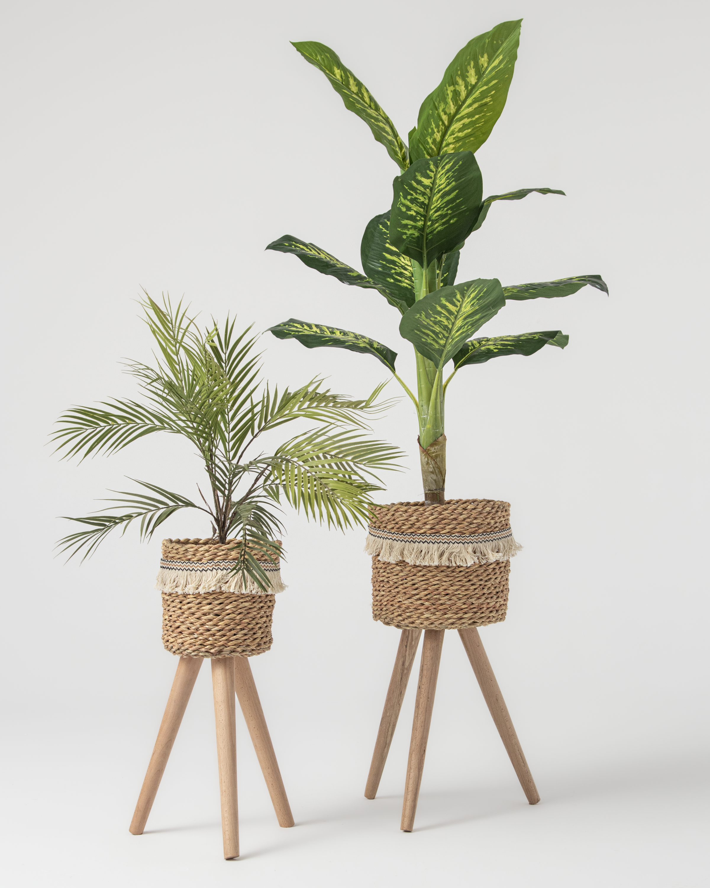 pot&plant Shape3